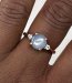 Gestolen Ringen en hanger